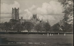 Cathedral from Cricket Field Ely, UK Cambridgeshire Postcard Postcard Postcard