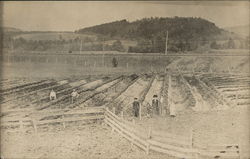 Family, Workers in Field Postcard