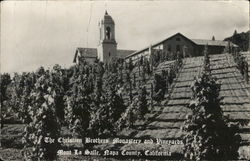 Christian Brothers Monastery and Vineyards, Mont La Salle Napa, CA Postcard Postcard Postcard