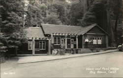 Store and Post Office Postcard