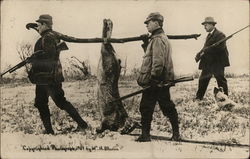 Hunting Rabbit Hunting Rabbit