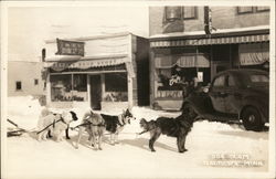 Dog Team Postcard