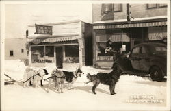 Dog Team Baudette, MN Postcard Postcard Postcard