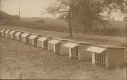 Chicken Coops Postcard