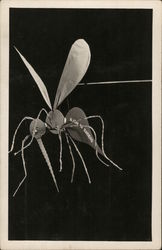 Alaska Air Raiders - Mosquito Postcard Postcard Postcard