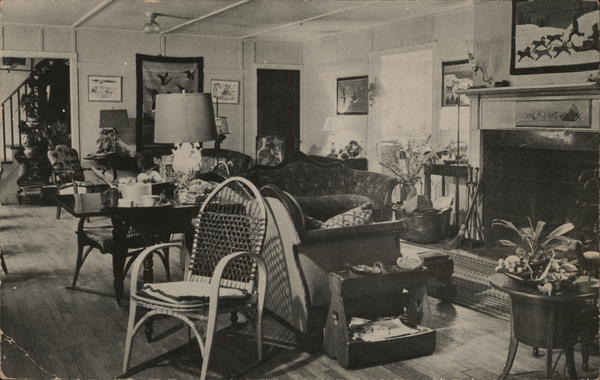 The Dog Team Middlebury Vermont