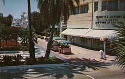 Lincoln Road Mall Miami Beach, FL Postcard Postcard Postcard