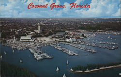 Coconut Grove, Florida Postcard