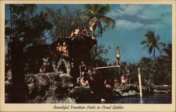 Beautiful Venetian Pools Coral Gables, FL Postcard Postcard Postcard
