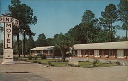 Pines Motel Postcard