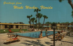 Greetings from Weeki Wachee, Florida Postcard Postcard Postcard