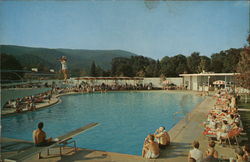 The Greenbrier Postcard