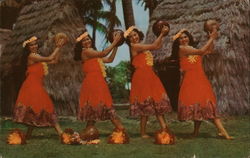 Kent Gihrard's Hula Nani Girls in Pahu Skirts Postcard