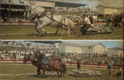 State Fair of West Virginia Postcard