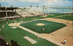 Al Lang Field St. Petersburg, FL Postcard Postcard Postcard