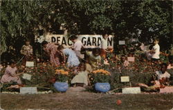 Little Peace Gardeners Lemont, IL Postcard Postcard Postcard