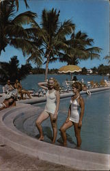 Glamour & Golden Sunshine, in Tropical Florida Postcard Postcard Postcard