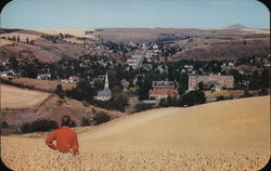 Scenic View Colfax, WA Postcard Postcard Postcard