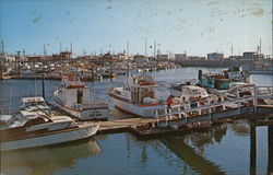 Harbor at Westport Postcard