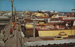 Fishing Fleet Docks Postcard