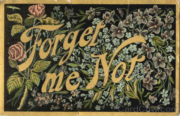Forget Me Not Phrases & Sayings