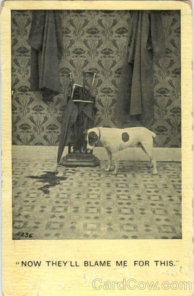 Now They'll Blame Me For This Dogs