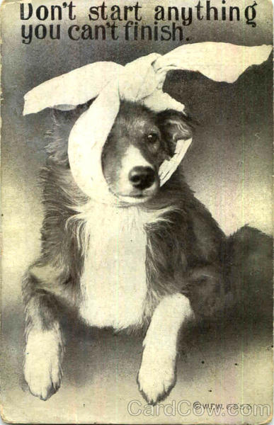 Don't Start Anything You Can't Finish Dogs