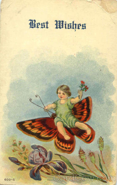 Best Wishes Butterfly Greetings