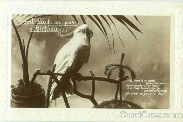 Good Luck On Or Birthday Birds