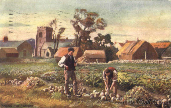 Among The Turnips Farming