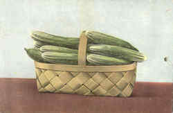 Cucumbers Postcard