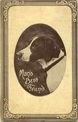 Mans Best Friend Dogs Postcard Postcard