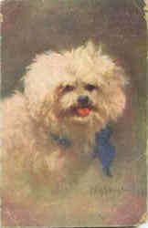 Stock #45677 Thumbnail