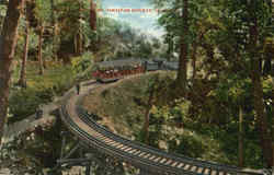 Mt. Tamalpais Railway Trains, Railroad Postcard Postcard