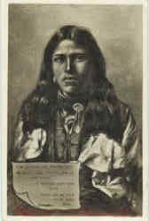 Hawaitha brave Postcard