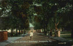 Main Walk U. S. Naval Academy Postcard