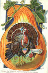Where The Glonous Star Spangled Banner Waves Turkeys Postcard Postcard