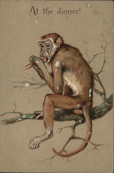 At The Dinner Monkeys