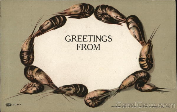 Greetings From - Shrimp Border Fancy Borders