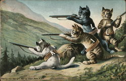 K.I.L.L. Cats (Catskills) Postcard 
