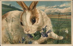 Easter Greetings With Bunnies Postcard Postcard