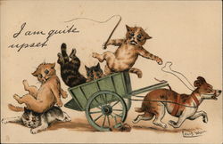 I Am Quite Upset Postcard
