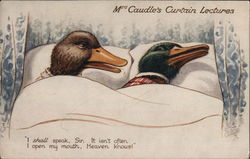 Mrs. Caudle's Curtain Lectures - Ducks in Bed Postcard