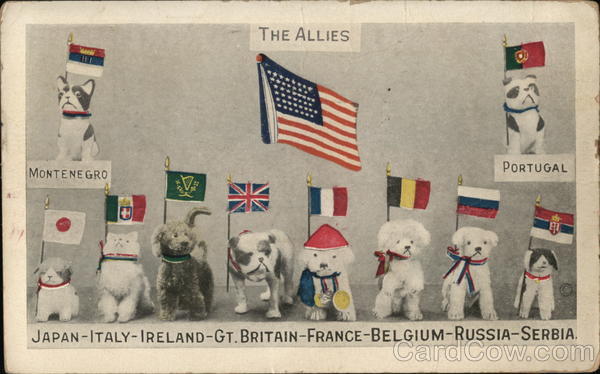 The Allies World War I