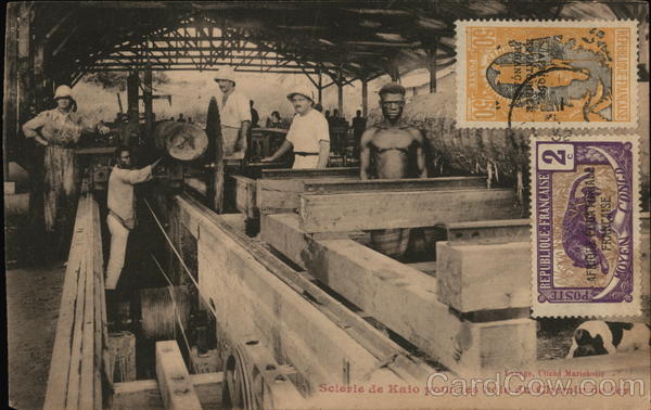 Sclerle de Kalo Pour les Bois du Chemin de Fer, French Congo