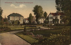 Planisoem Boombergen Planisoem Boombergen