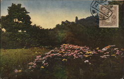Flowers in the woods Postcard