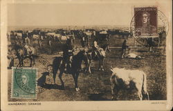 Marcando Ganado, Argentina Postcard