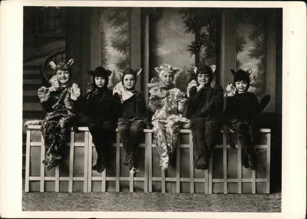 Cats, Manchester, New Hampshire,1934 Photographic Art