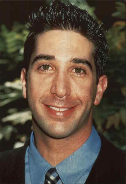 David Schwimmer Actors